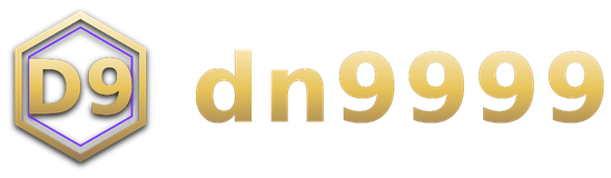 dn9999 logo